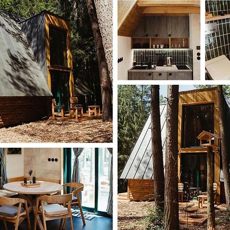 Hotel Kouty - Lesni Apartmany Ledeč nad Sázavou Exterior foto