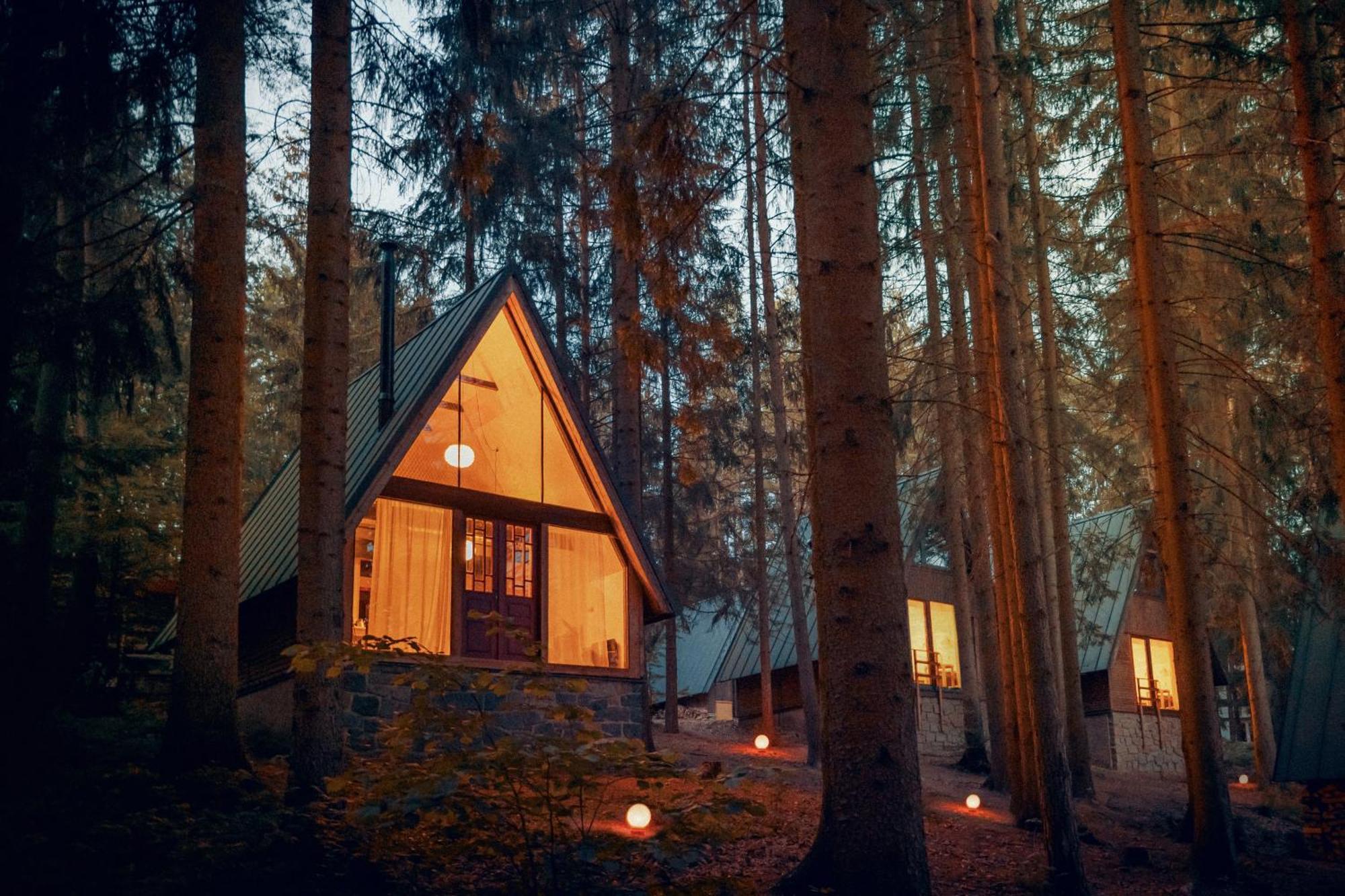 Hotel Kouty - Lesni Apartmany Ledeč nad Sázavou Exterior foto