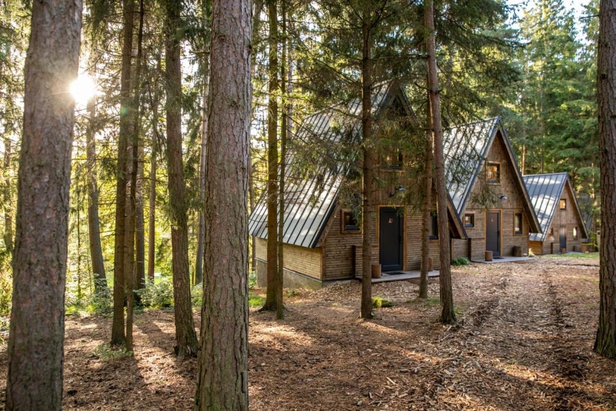 Hotel Kouty - Lesni Apartmany Ledeč nad Sázavou Exterior foto